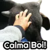 Figurinha de Topfigurinhas-559-Memes