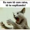 Figurinha de Topfigurinhas-851-Animais