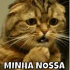 Figurinha de Topfigurinhas-852-Animais