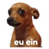Figurinha de Topfigurinhas-900-Cachorros