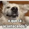 Figurinha de Topfigurinhas-901-Cachorros