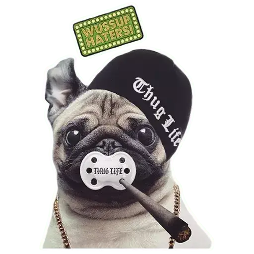 Figurinha de Topfigurinhas-913-Cachorros