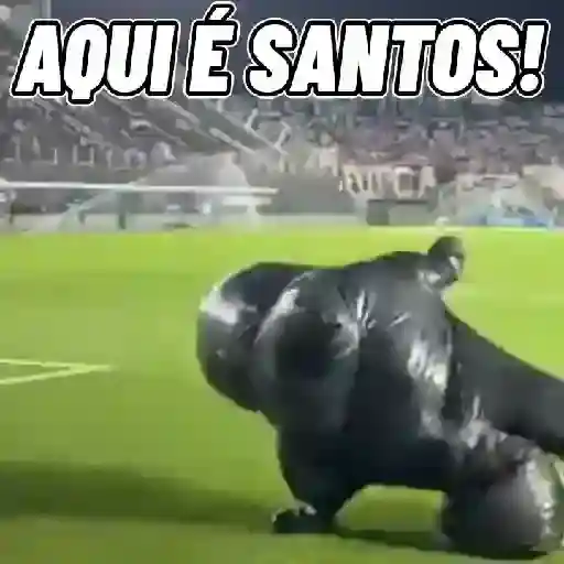 Figurinha de Topfigurinhas-1677-santos