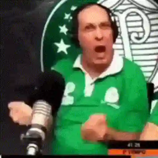 Figurinha de Topfigurinhas-1855-palmeiras