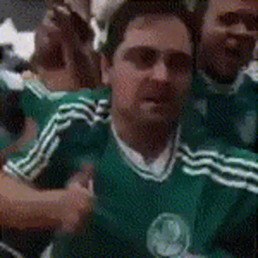 Figurinha de Topfigurinhas-1856-palmeiras