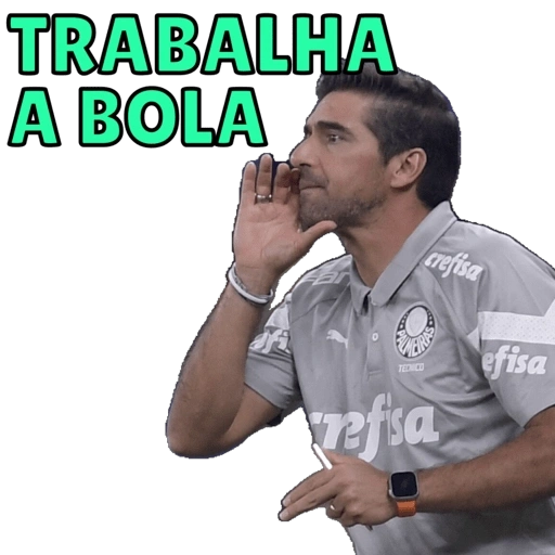 Figurinha de Topfigurinhas-1897-palmeiras