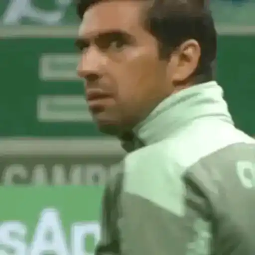 Figurinha de Topfigurinhas-1904-palmeiras