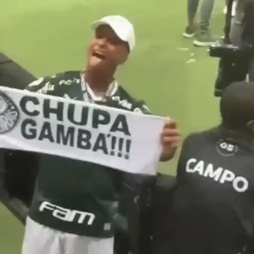 Figurinha de Topfigurinhas-1906-palmeiras