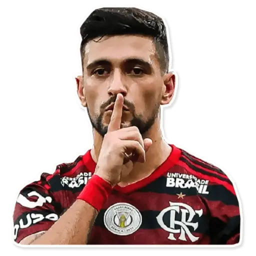 Figurinha de Topfigurinhas-1987-flamengo