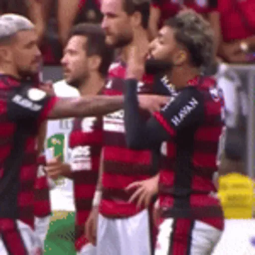 Figurinha de Topfigurinhas-1995-flamengo