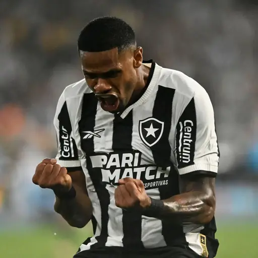 Figurinha de Topfigurinhas-2100-botafogo