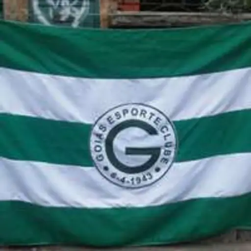 Figurinha de Topfigurinhas-2408-goias