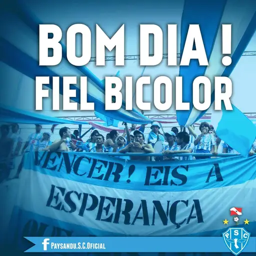 Figurinha de Topfigurinhas-2896-paysandu