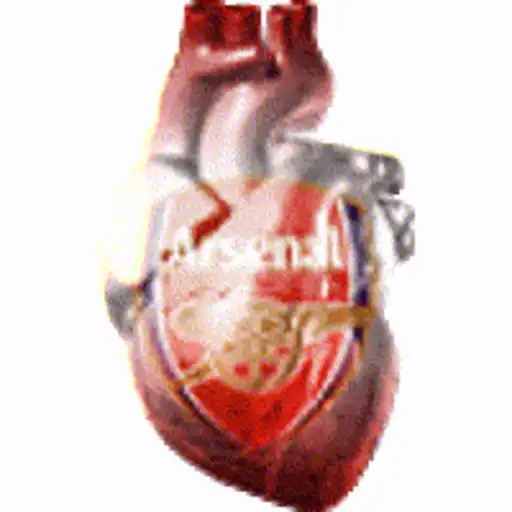 Figurinha de Topfigurinhas-3322-arsenal