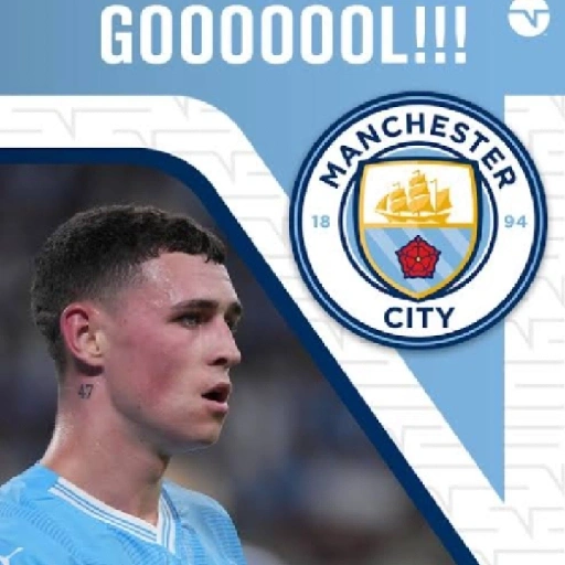 Figurinha de Topfigurinhas-3655-manchestercity