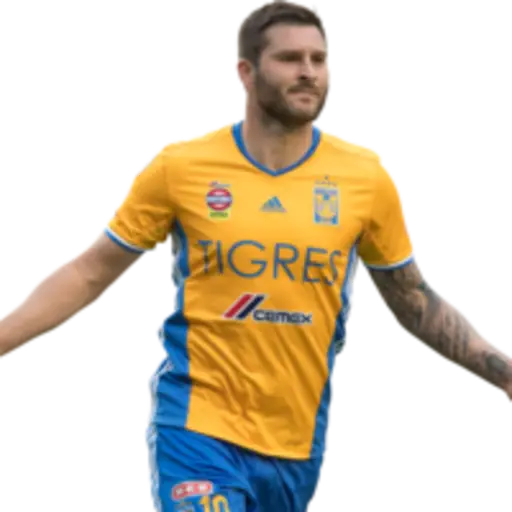Figurinha de Topfigurinhas-4271-tigres