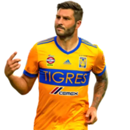 Figurinha de Topfigurinhas-4272-tigres