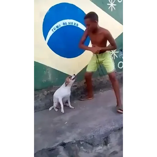 Figurinha de Topfigurinhas-5861-Cachorros