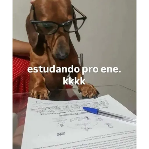 Figurinha de Topfigurinhas-5886-Acadêmico