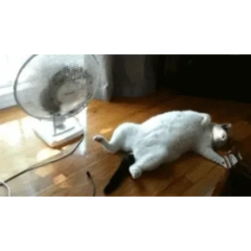 Figurinha de Topfigurinhas-6456-Calor