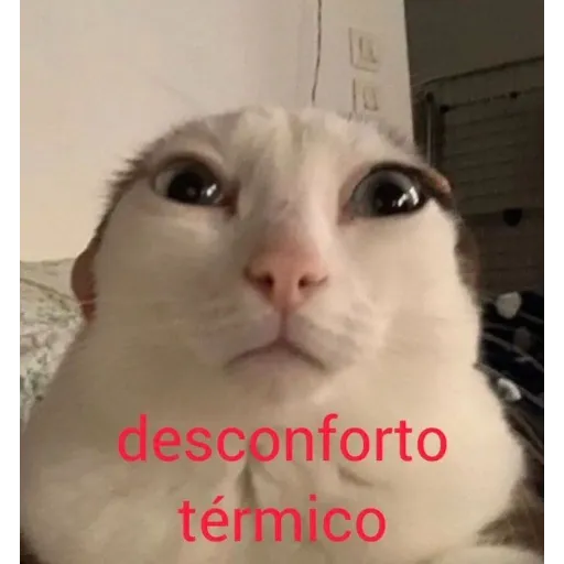 Figurinha de Topfigurinhas-6500-Calor