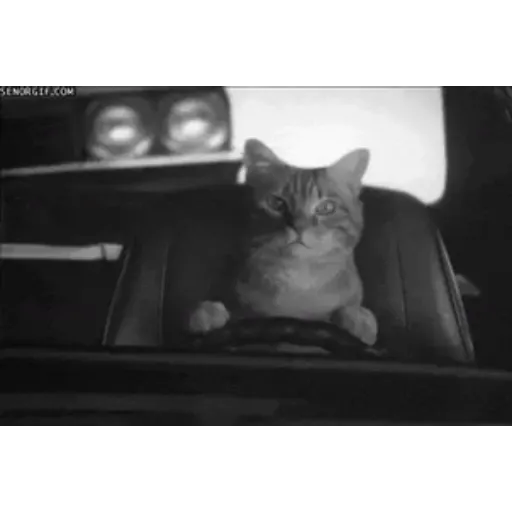 Figurinha de Topfigurinhas-6505-Carros