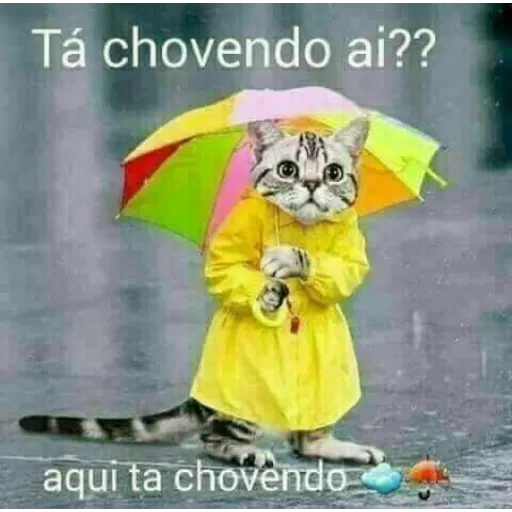 Figurinha de Topfigurinhas-6551-Chuva