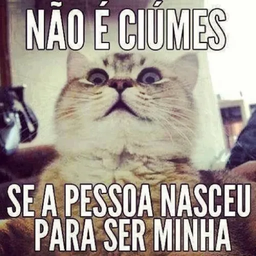 Figurinha de Topfigurinhas-6576-Ciúmes