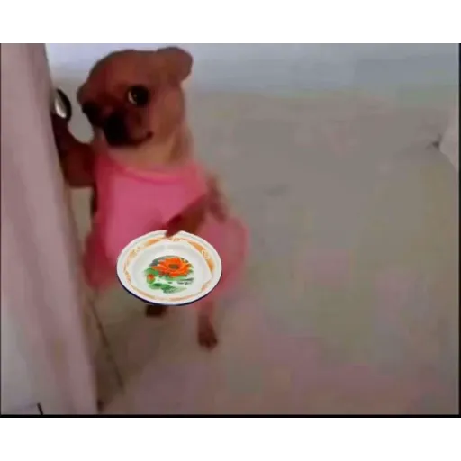 Figurinha de Topfigurinhas-6606-Comida