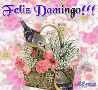 Figurinha de Topfigurinhas-7020-Domingo