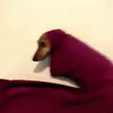 Figurinha de Topfigurinhas-8018-Frio