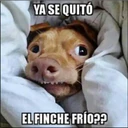 Figurinha de Topfigurinhas-8024-Frio
