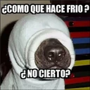 Figurinha de Topfigurinhas-8030-Frio