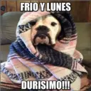 Figurinha de Topfigurinhas-8031-Frio