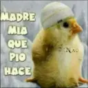 Figurinha de Topfigurinhas-8033-Frio