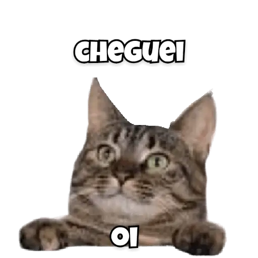Figurinha de Topfigurinhas-8267-Gatos