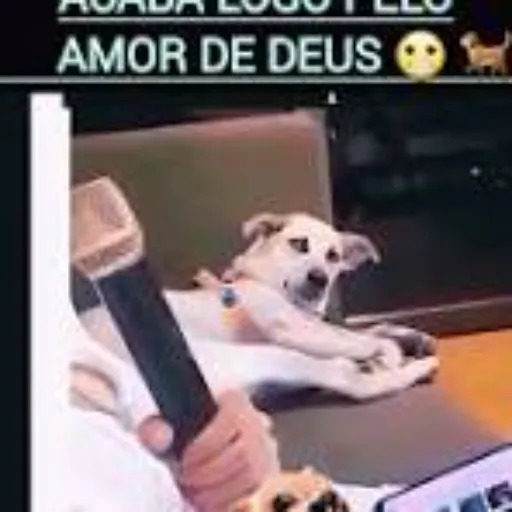 Figurinha de Topfigurinhas-11091-Acaba Pelo Amor de Deus