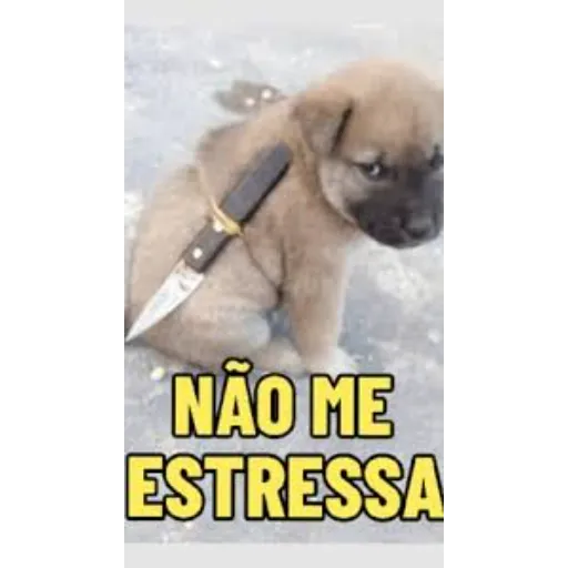 Figurinha de Topfigurinhas-11114-Calma Pai Ja Perdeu o Argumento