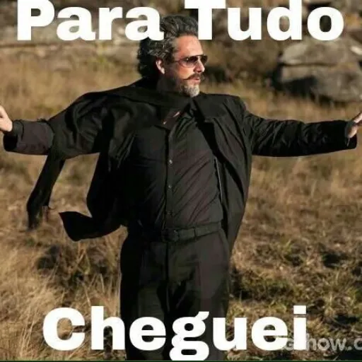 Figurinha de Topfigurinhas-11117-Cheguei Brasil