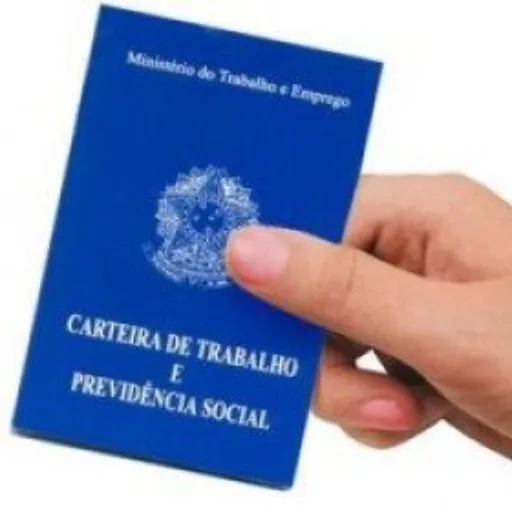 Figurinha de Topfigurinhas-11145-CLT MEME
