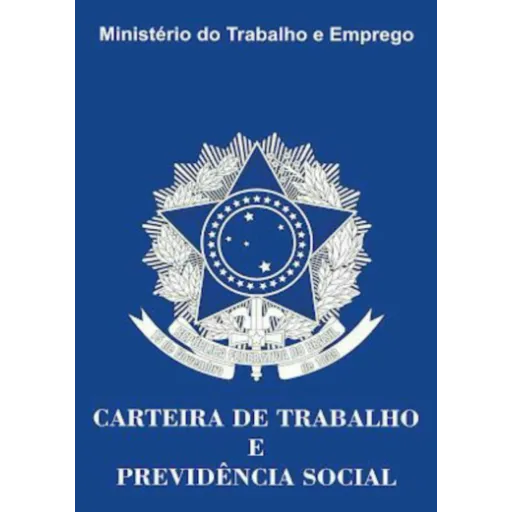 Figurinha de Topfigurinhas-11161-CLT MEME